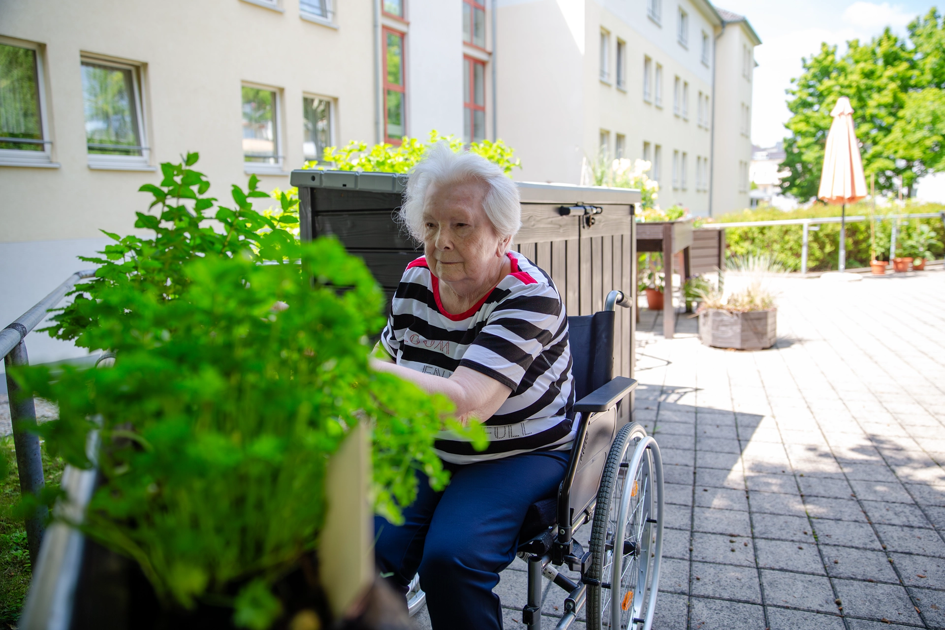 Seniorin im Rollstuhl pflegt Kräuter auf der Terrasse.