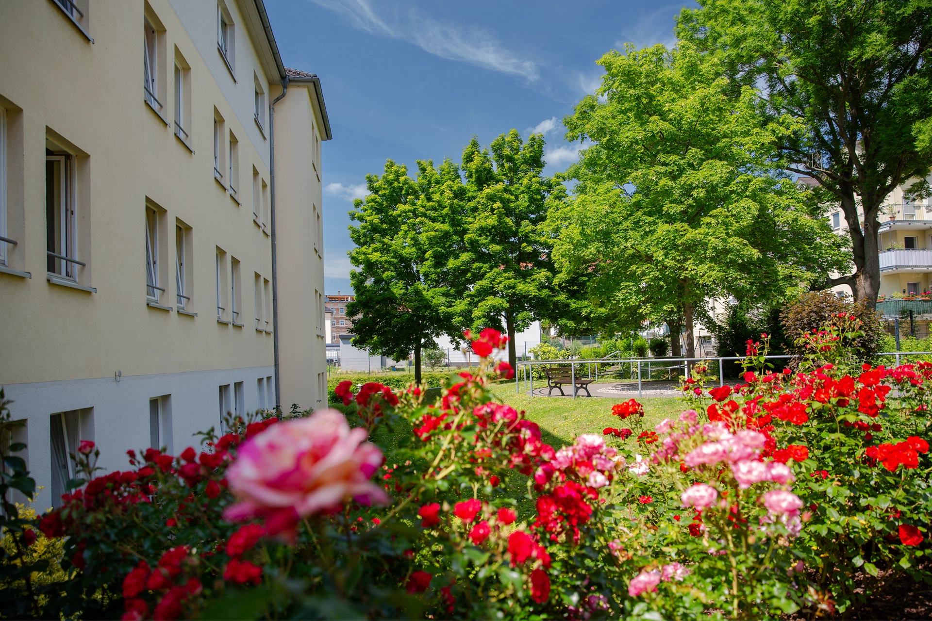 Blühender Rosengarten mit Blick auf das Gebäude des Pflegeheims Colliser Straße  Beschreibung: Ein gepflegter Rosengarten mit barrierefreien Wegen lädt Bewohner und Besucher zum Verweilen ein. Die gepflegte Außenanlage des Pflegeheims Colliser Straße bietet Naturerleben mitten in Gera – ein Ort für Ruhe, Duft und Begegnung.  Wenn du weitere Bilder oder Standorte hast, passe ich die Angaben gerne entsprechend an.