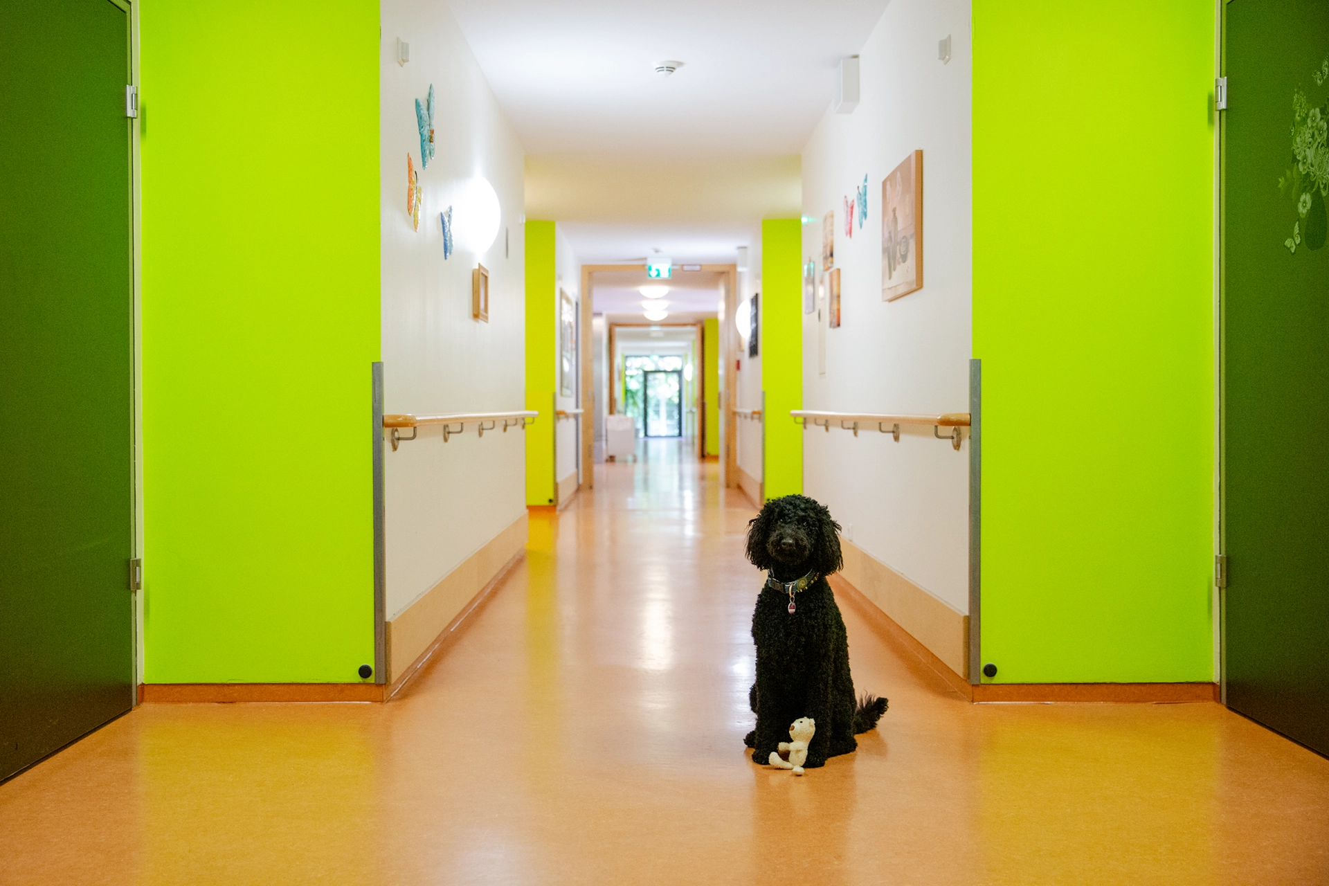 Ein schwarzer Therapiehund sitzt mit Stofftier im Flur des Pflegeheims Otto Dix in Gera